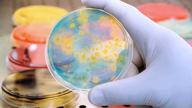 生物试剂保存，如何选择合适的厂家？**