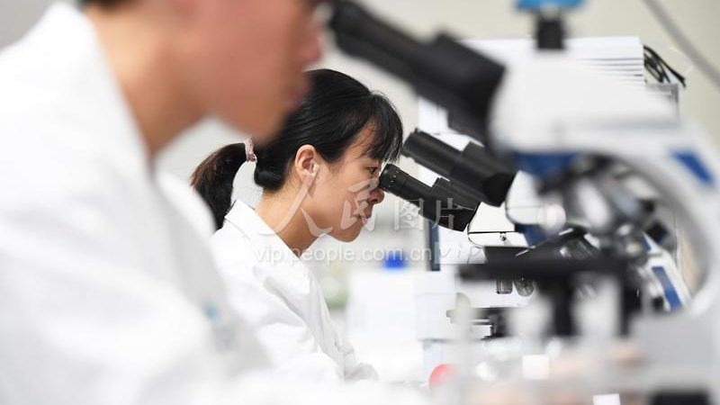 PCR实验室设备配置清单：构建精准检测的基石