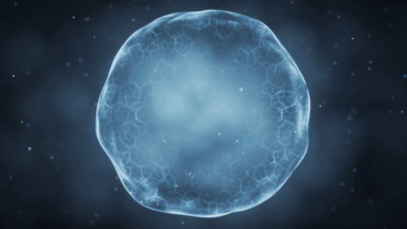 PCR管与离心管：两种实验工具的异同解析