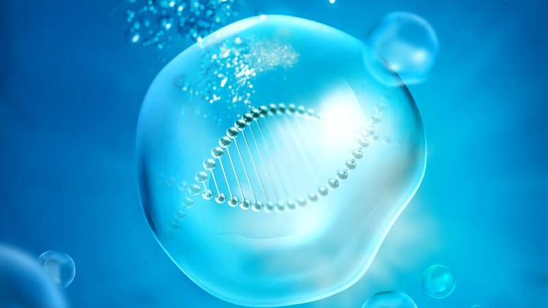 生物医药研发外包质量控制：关键要素与实操要点**