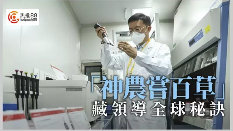 上海实验室耗材分类大全：揭秘实验室必备的“百宝箱”**