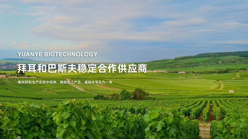成都生物试剂标准品：精准科研的基石**