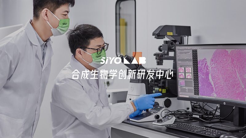 引物修饰：提升PCR反应效率的关键