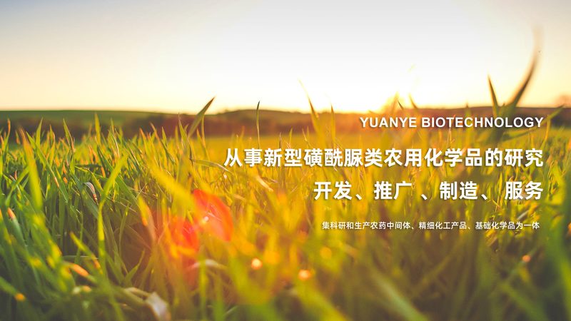 酶型号大全：解码生物催化世界的密码