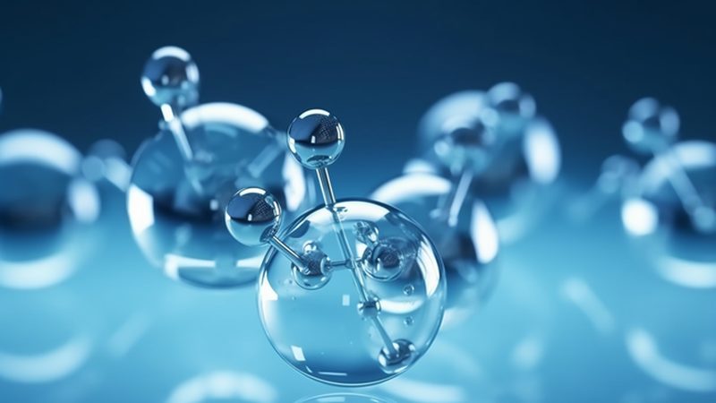 酶制剂定制流程：揭秘生物制药中的关键环节**