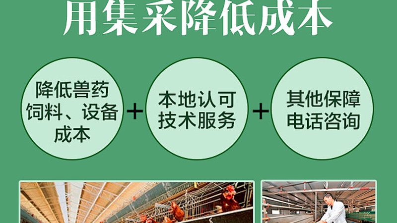CRS优化参数设置：揭秘CRO服务的关键要素