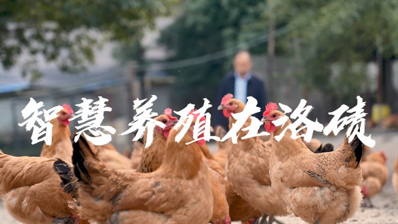 酶行情走势图：解码生物科技行业的新风向标**
