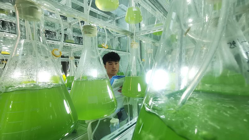 科研利器：荧光定量PCR试剂盒的原理与选型要点